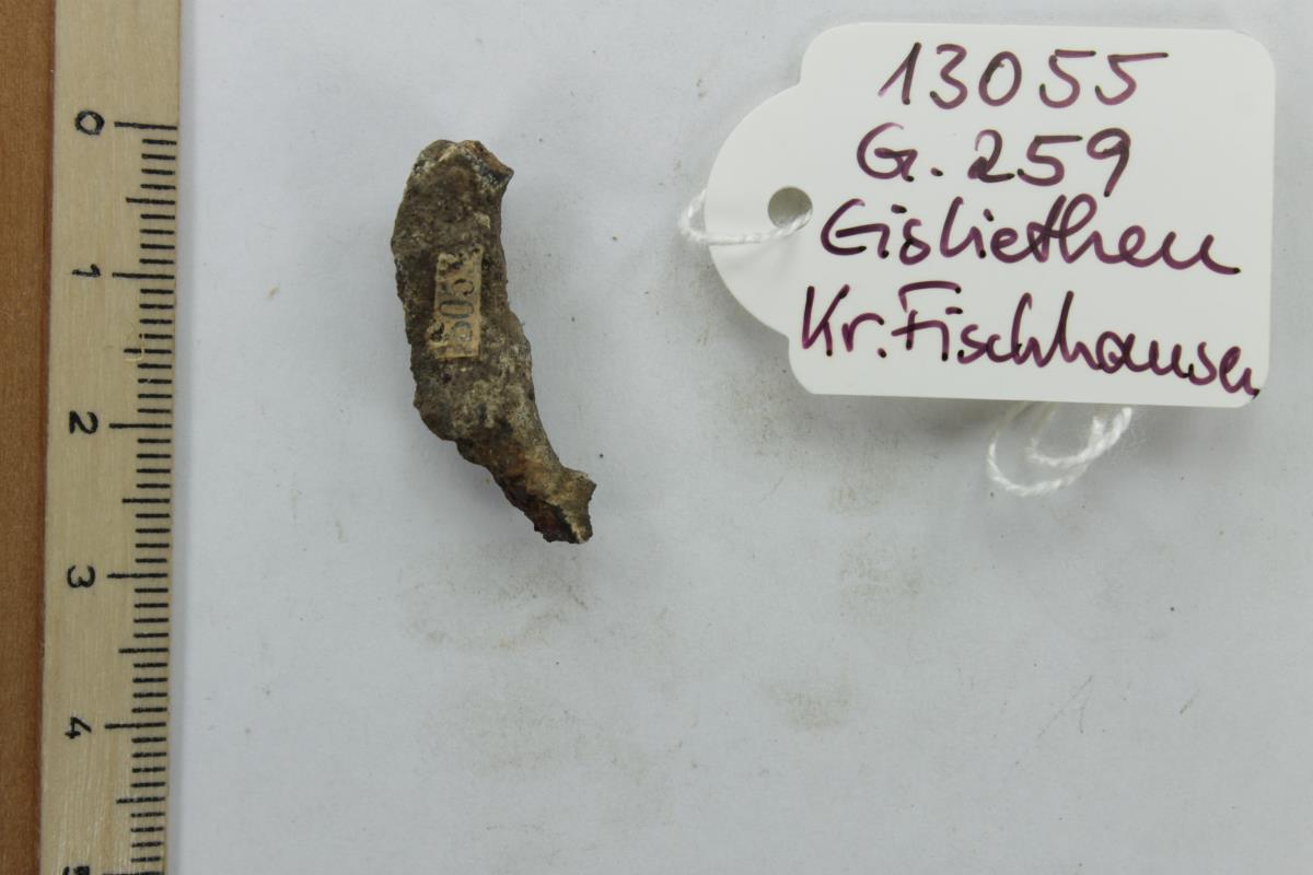 Fibelfragment