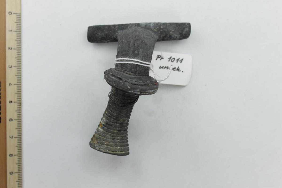 Rollenkappenfibel