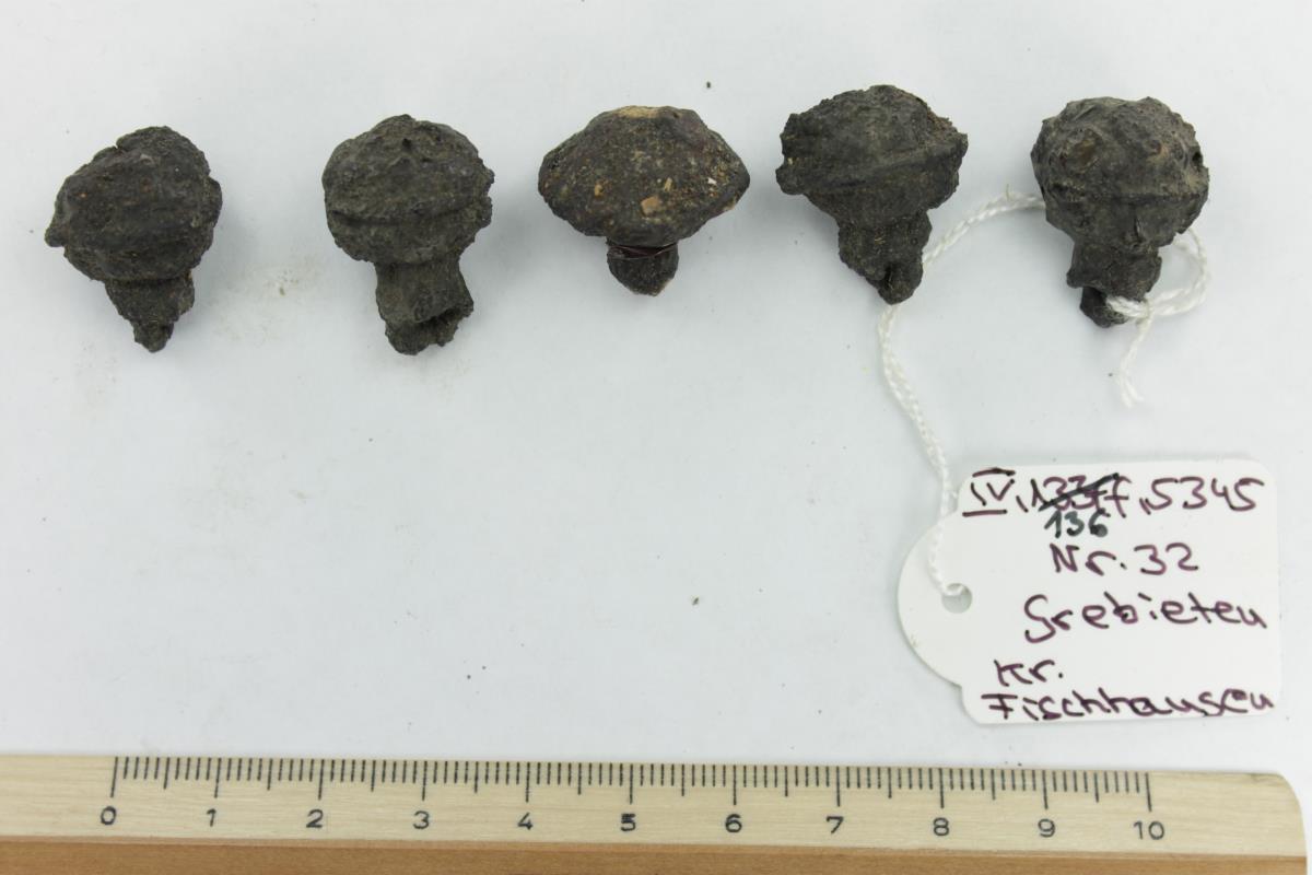 Schellenberlocks