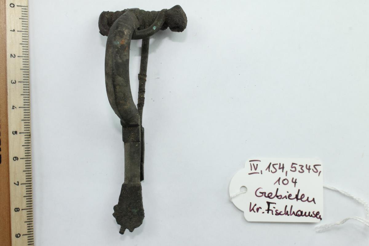 Sternfußfibel