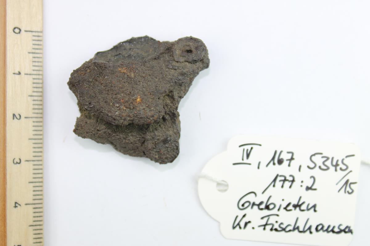 Gürtelschnallenfragment