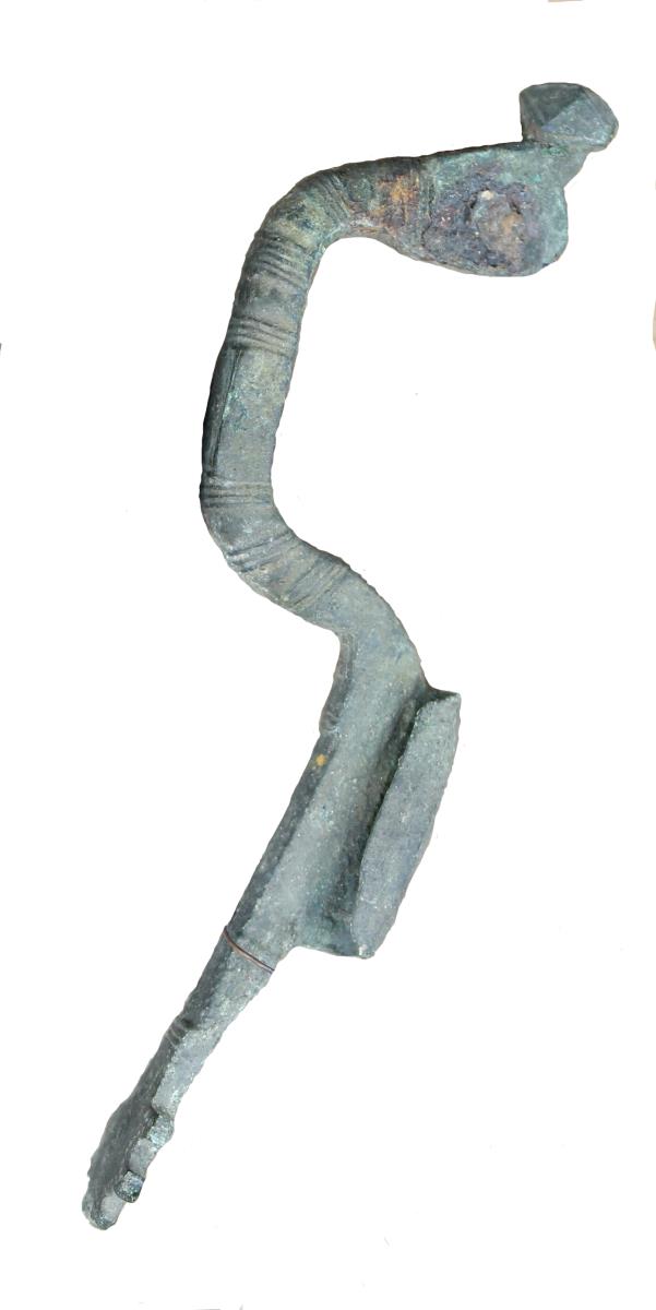 Sternfußfibel