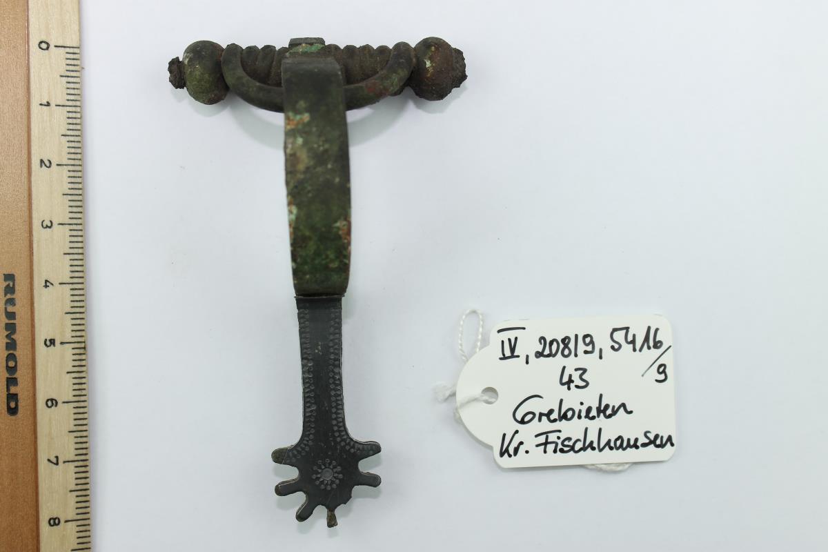 Sternfußfibel