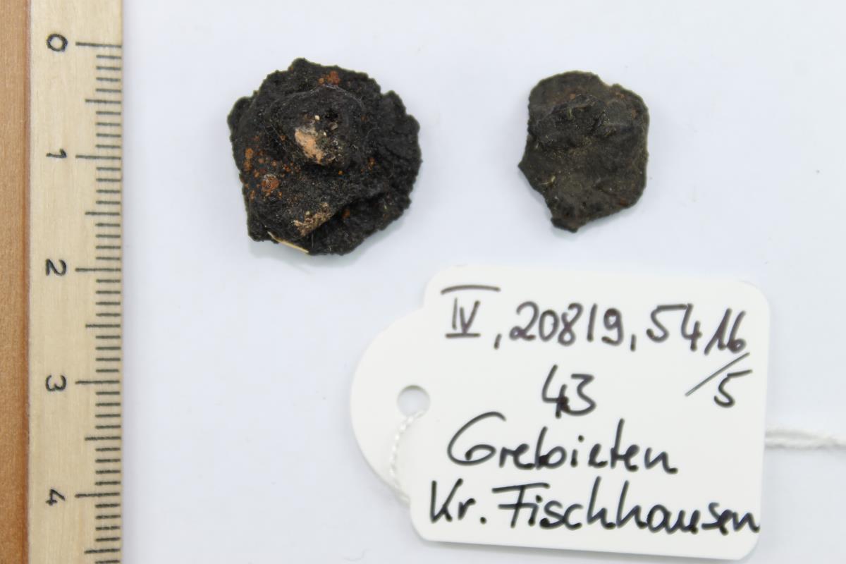 Schildbuckel