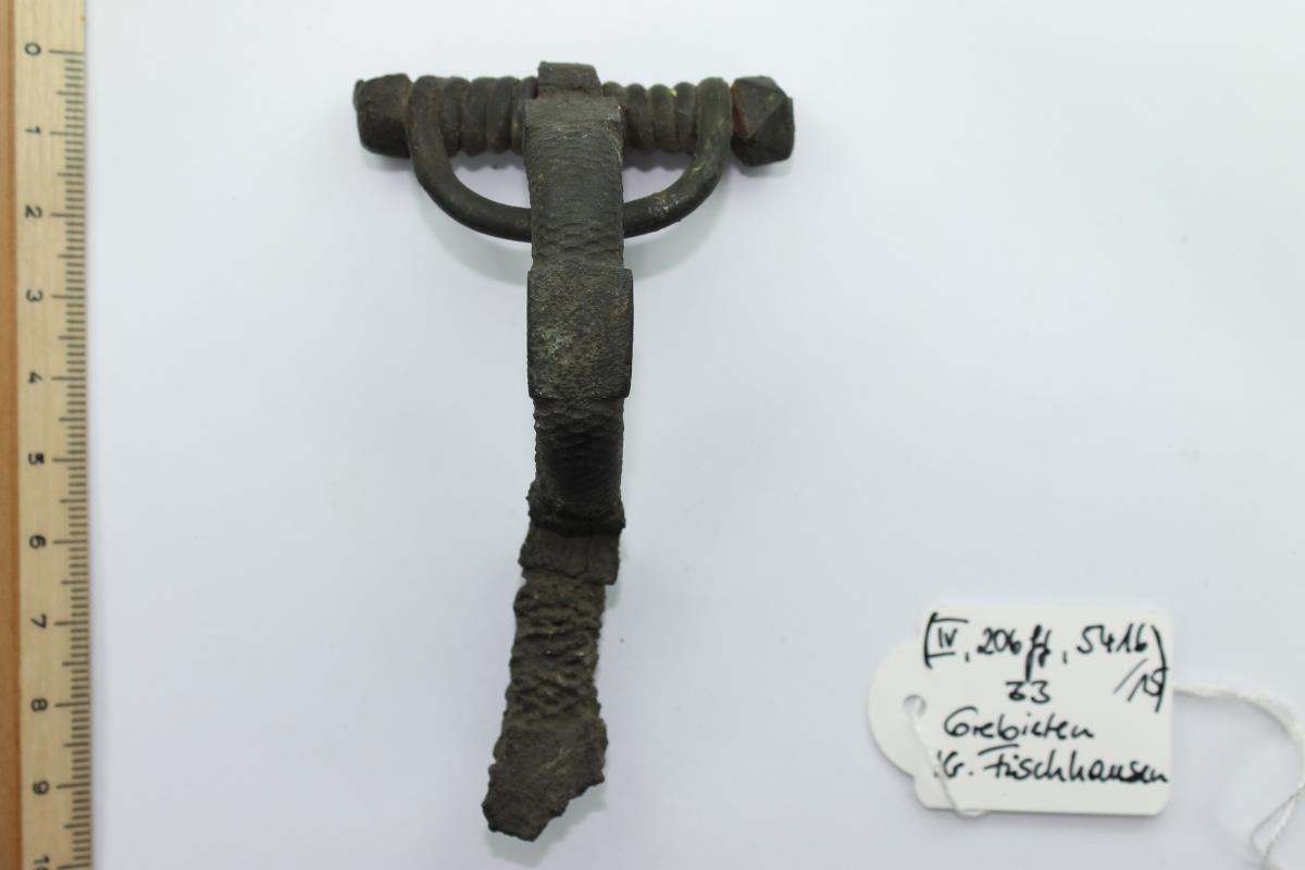 Sternfußfibel