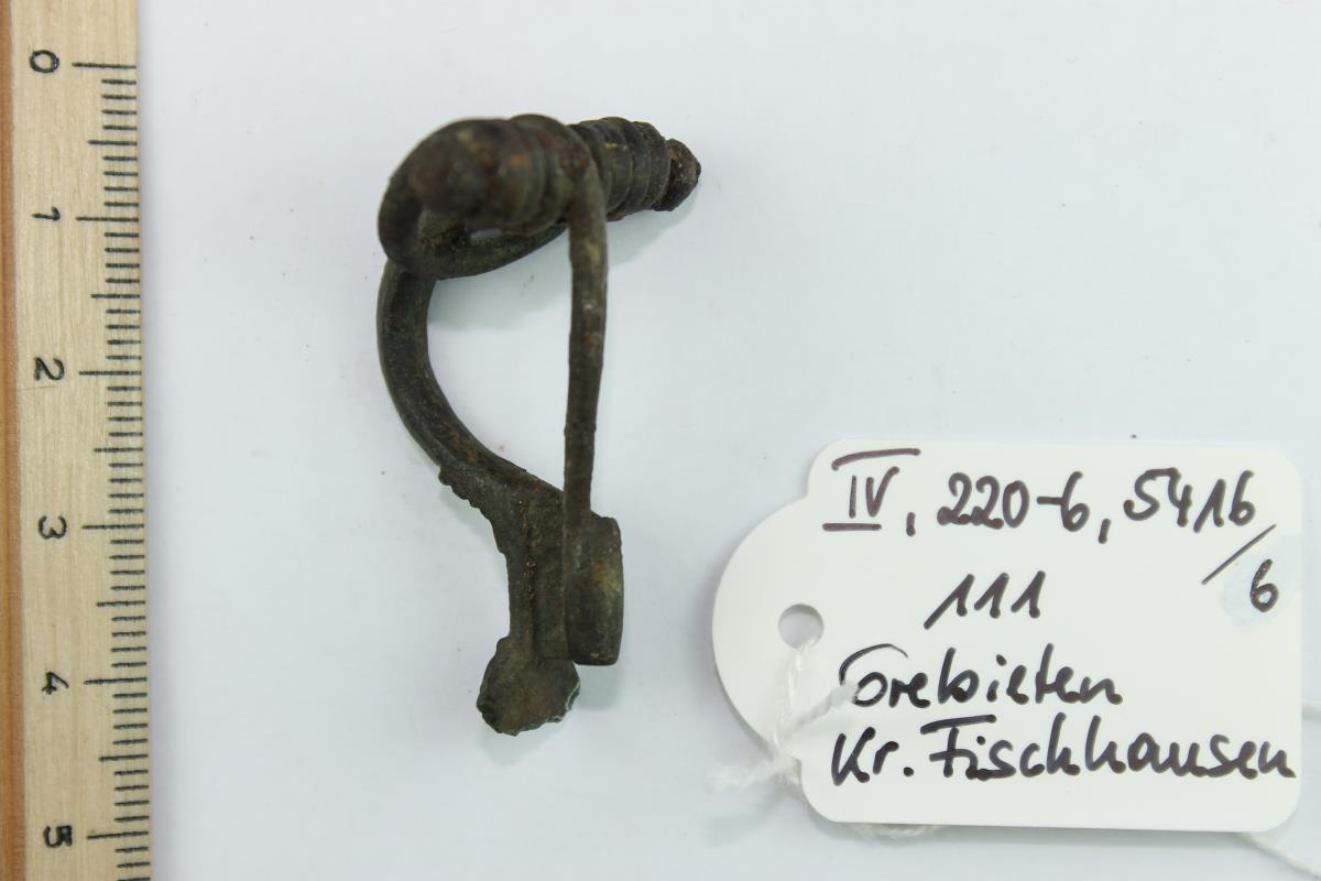 Armbrustfibel