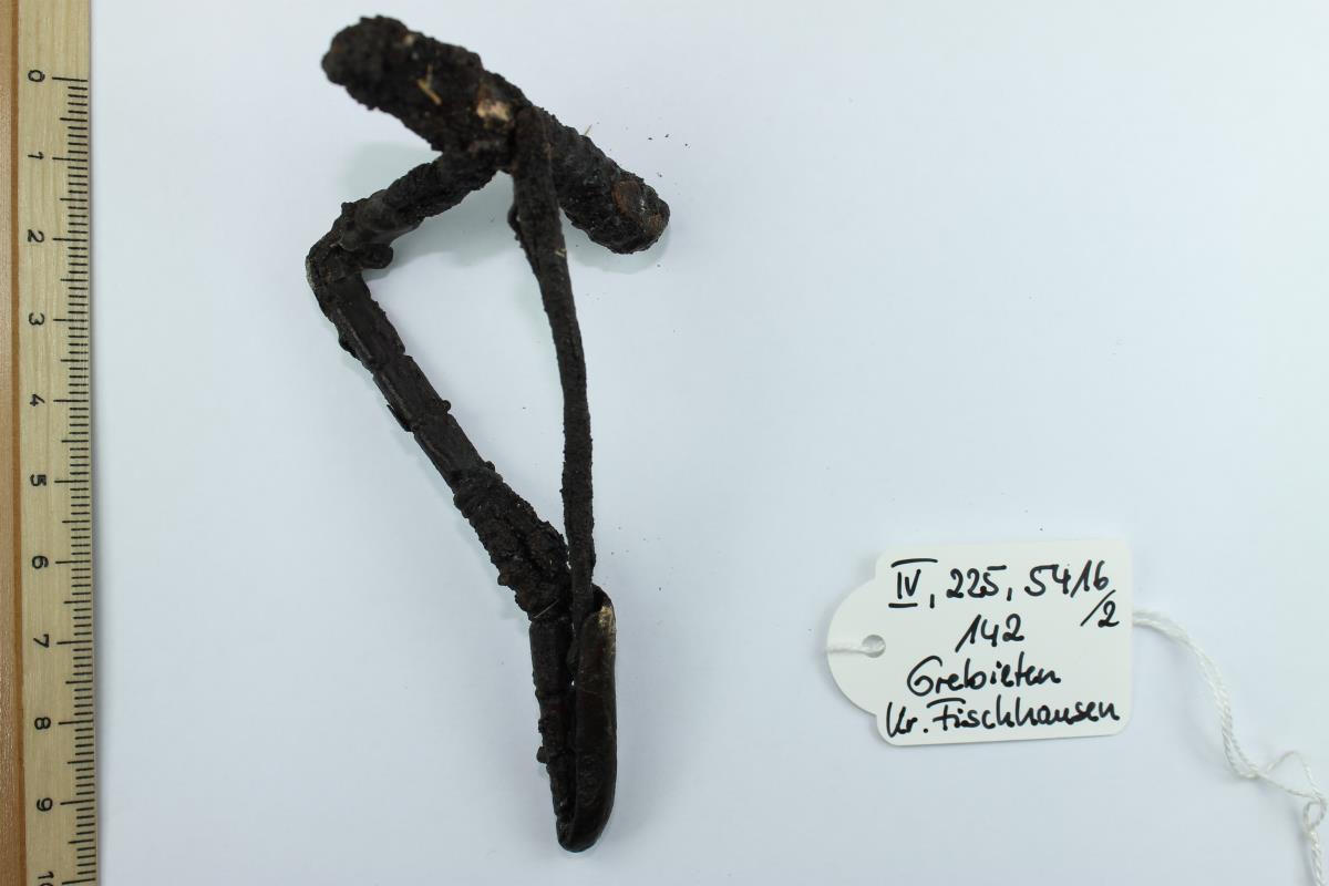 Armbrustfibel