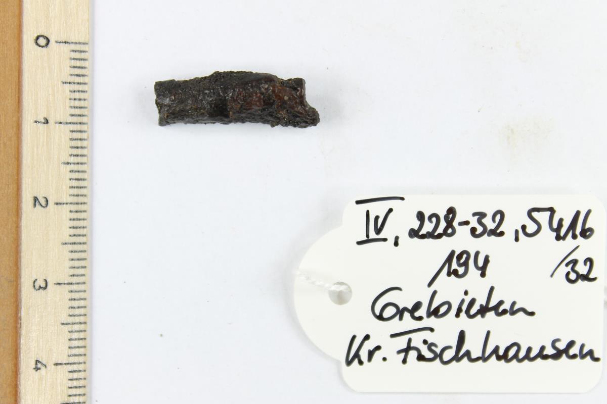 Fibelfragment