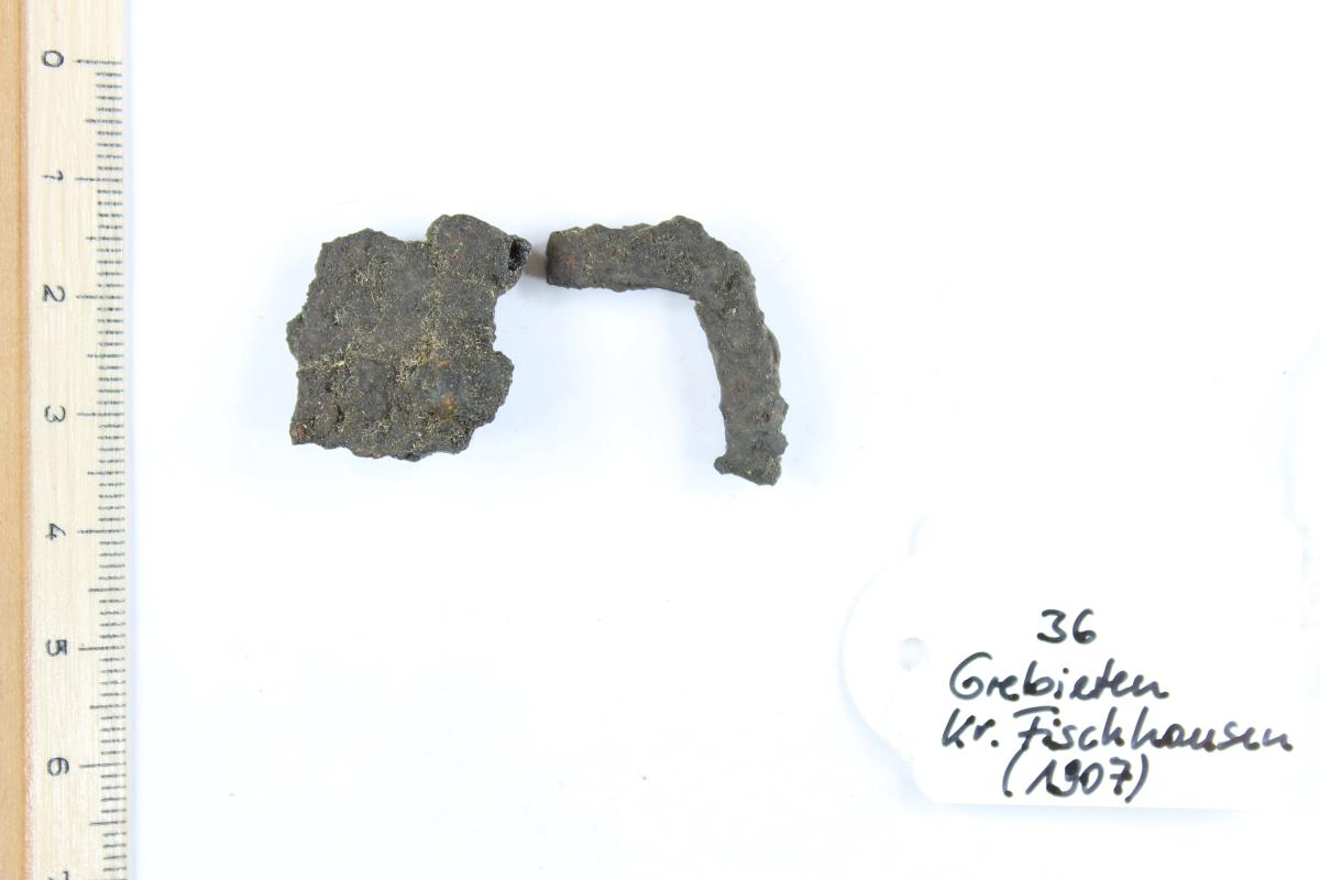 Gürtelschnallenfragment
