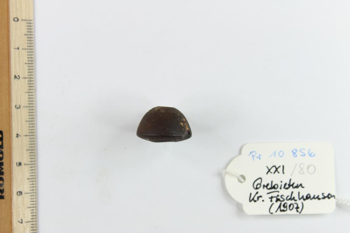 Bernsteinperle