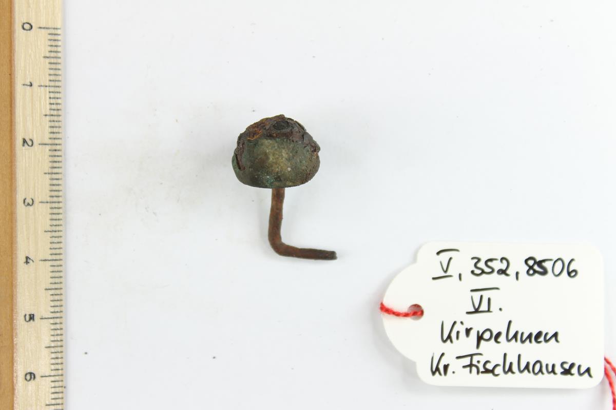 Schildbuckel