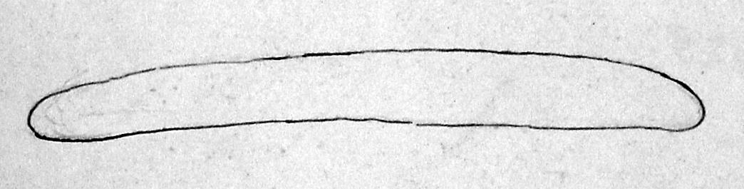 Messerklinge