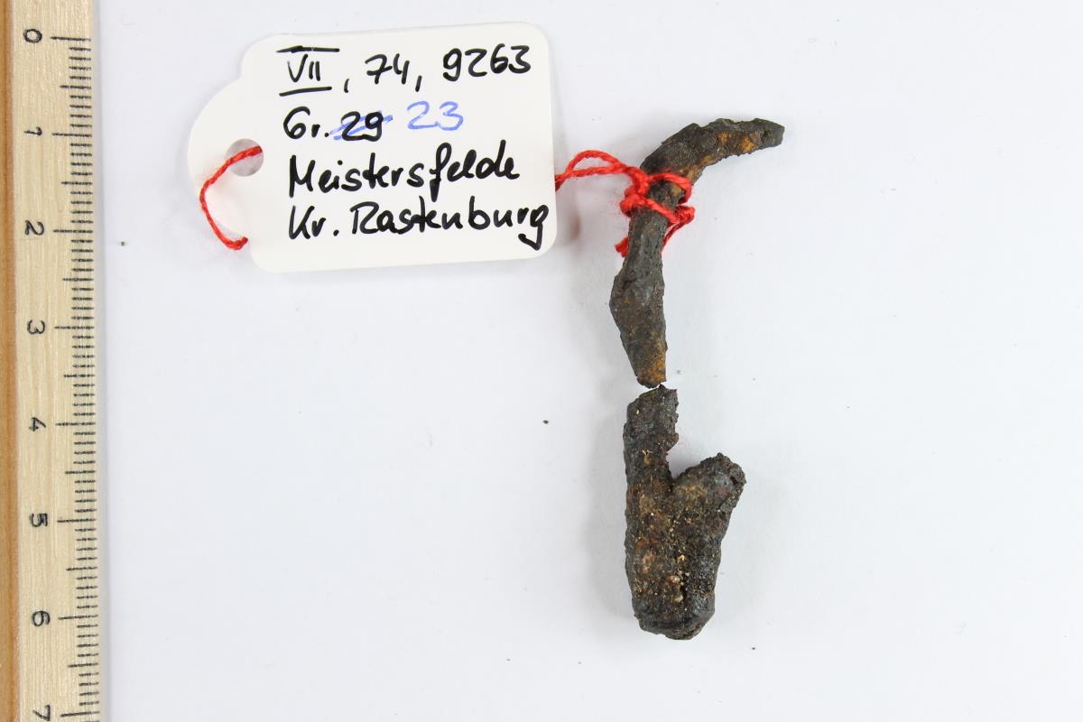 Eisenfibel
