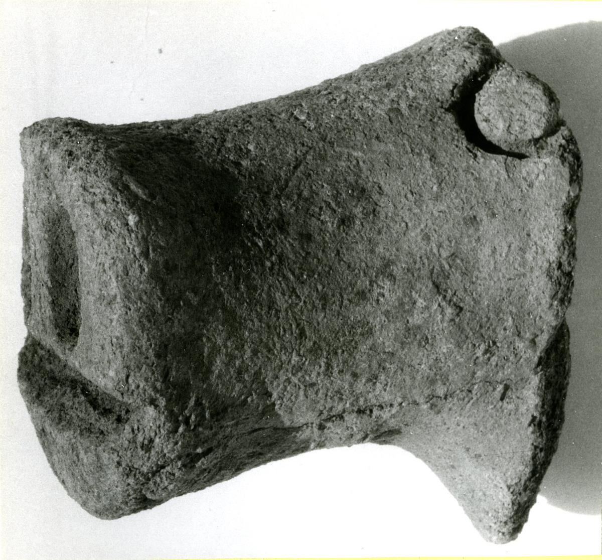 Fragment einer Schweineschnauze