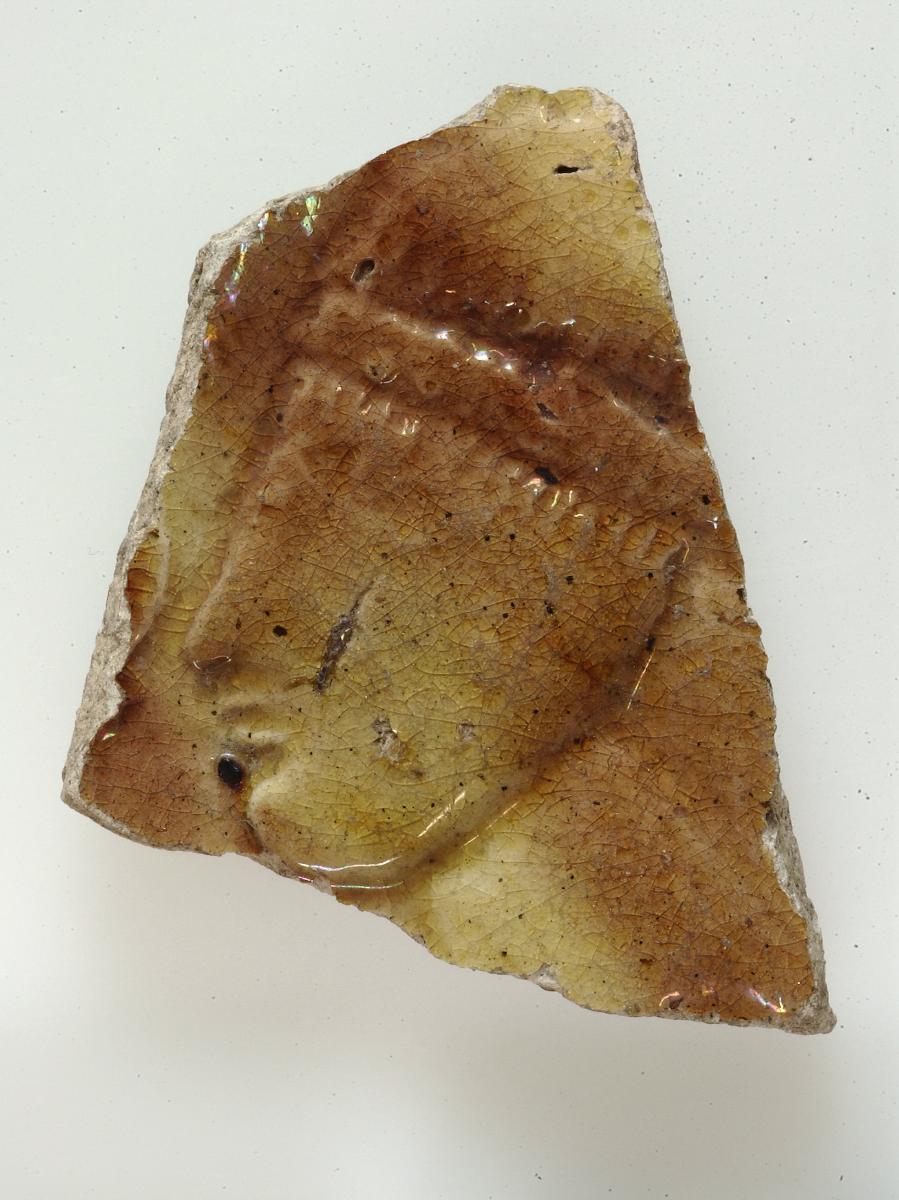 Teller oder Schale, Fragment