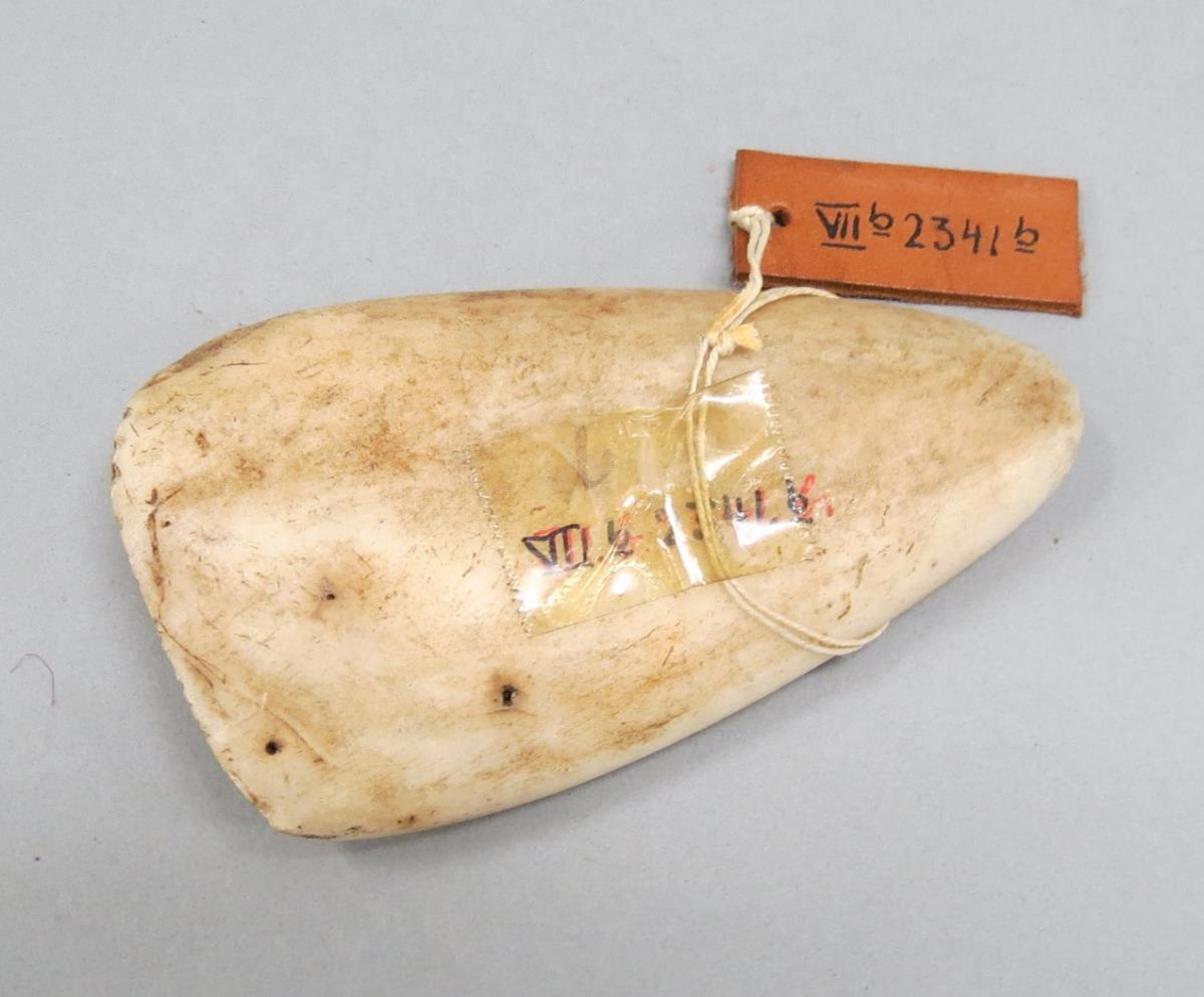 VII B 2341 b