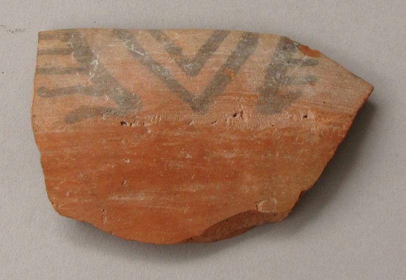V C 1351 f