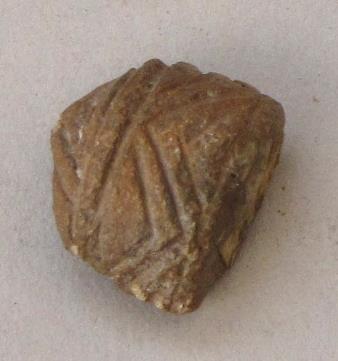 V C 1555 b