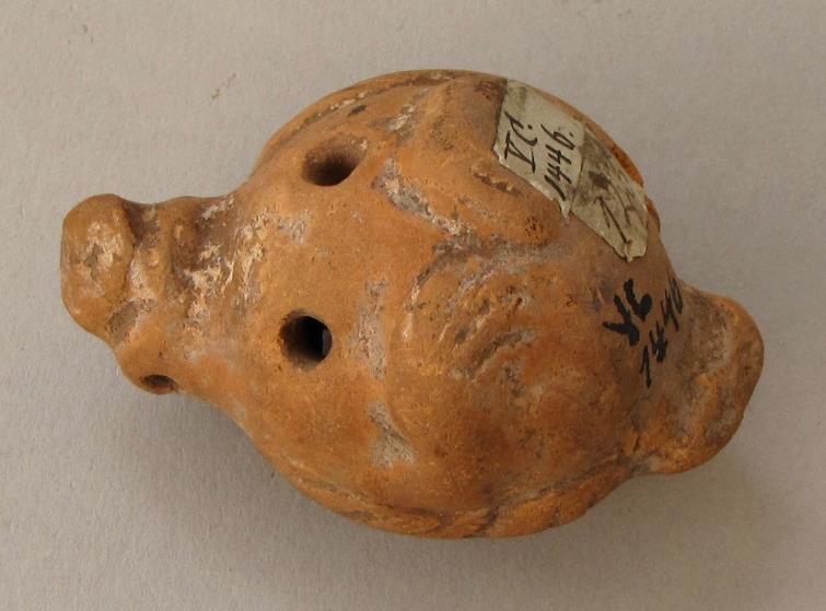 V C 1446