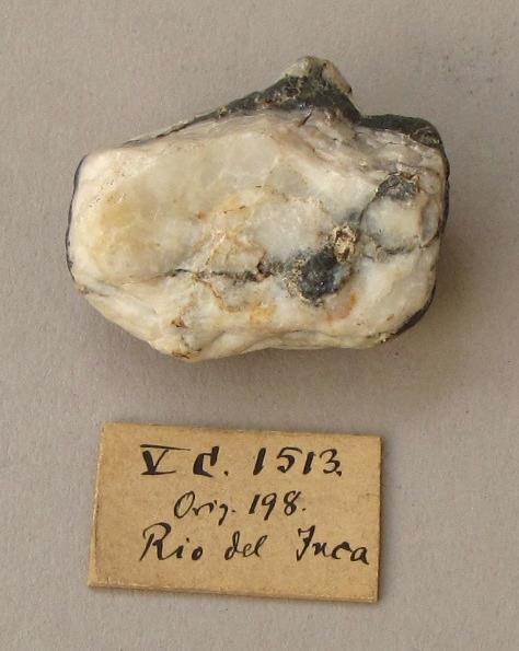 V C 1513