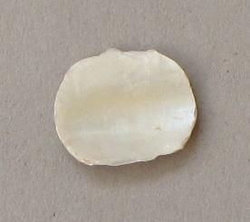 V C 1532 b