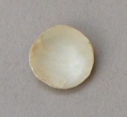 V C 1532 c