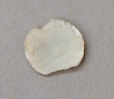 V C 1532 d