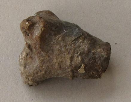 V C 1549 b