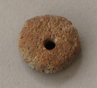 V C 1557