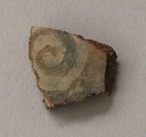 V C 1565 p
