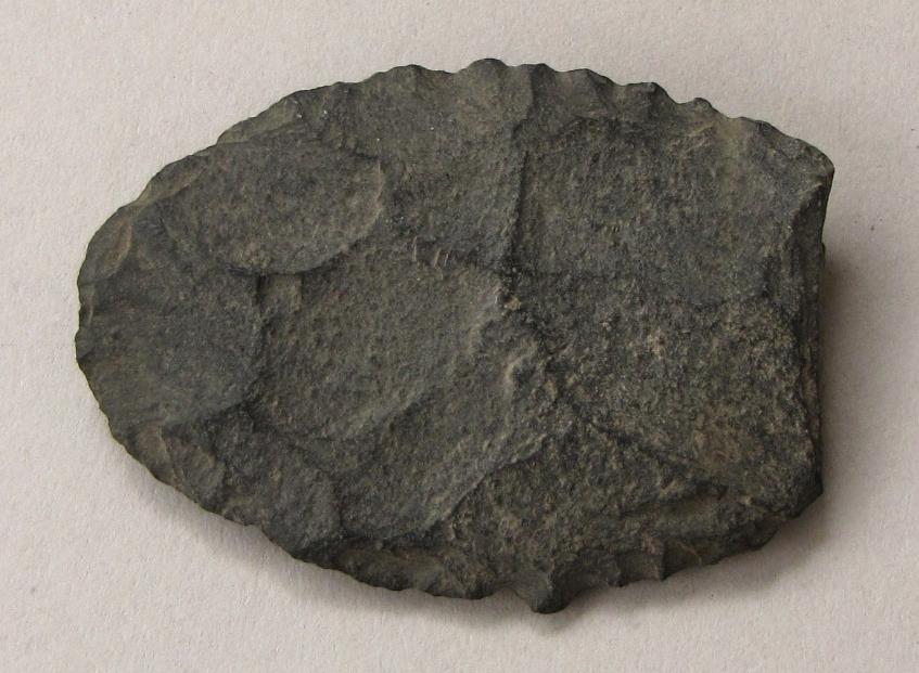 V C 1254 e