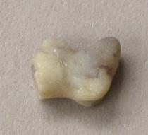 V C 1481