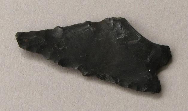 V C 1486 a