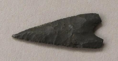 V C 1486 bb
