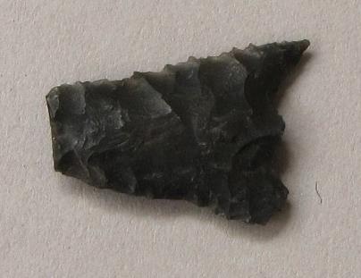 V C 1486 dd