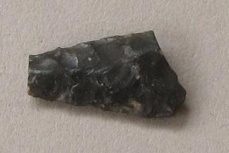 V C 1486 g