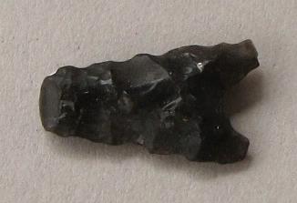 V C 1486 l