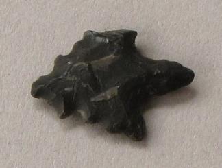 V C 1486 o
