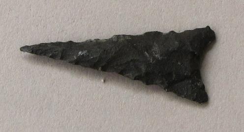 V C 1491 a