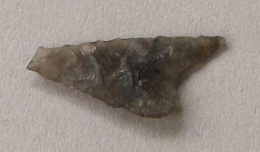 V C 1491 bb