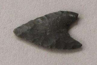 V C 1491 cc