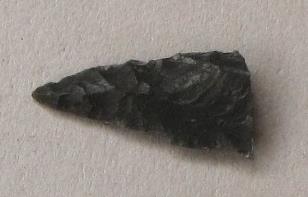 V C 1491 d