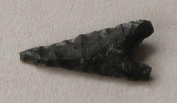 V C 1491 dd