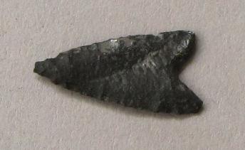 V C 1491 rr