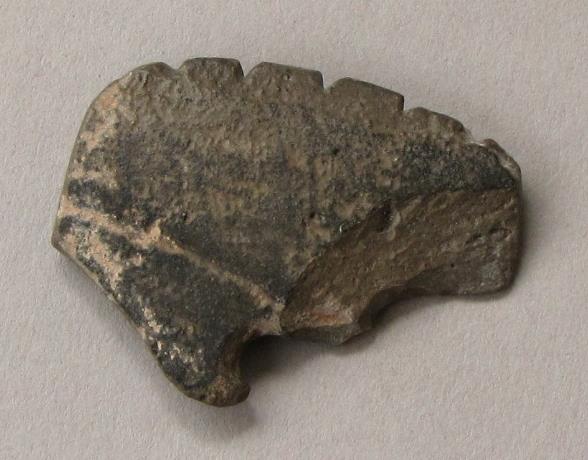 V C 1556 b