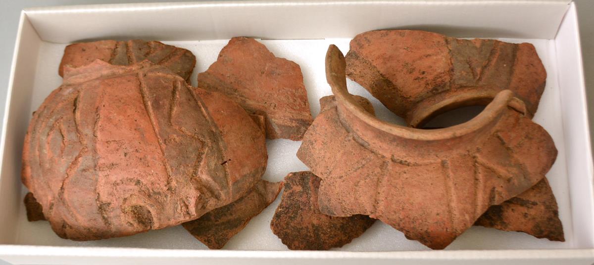 V C 1449