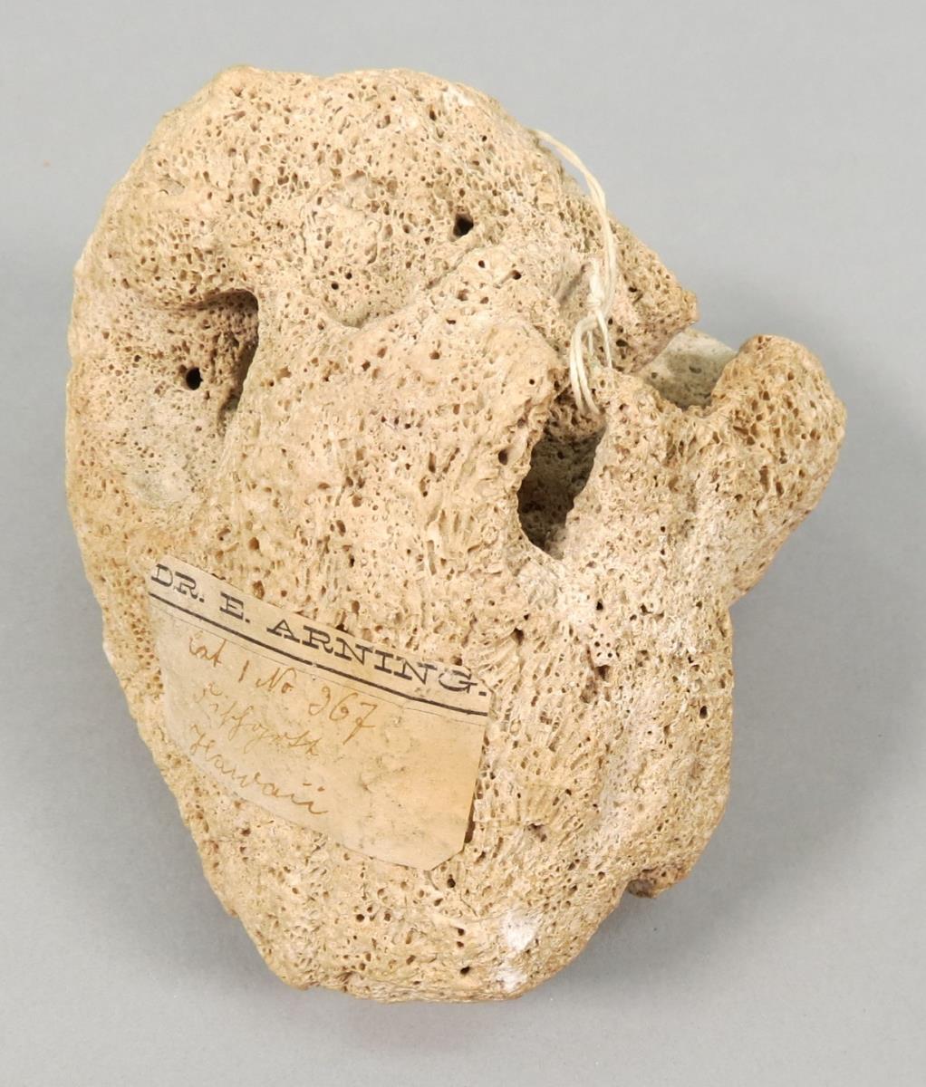VI 8373