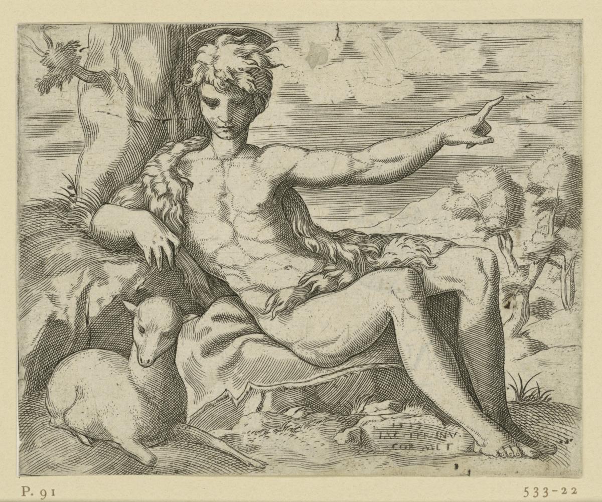 Johannes in der Wildnis