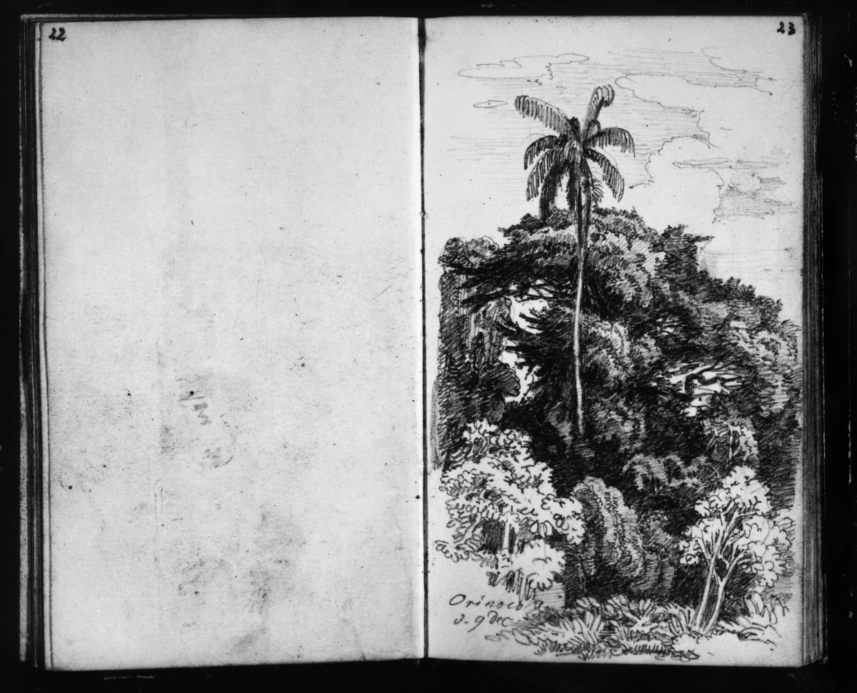 Tropische Flusslandschaft am Orinoco