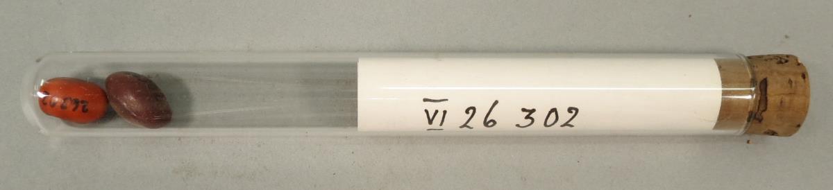 VI 26302